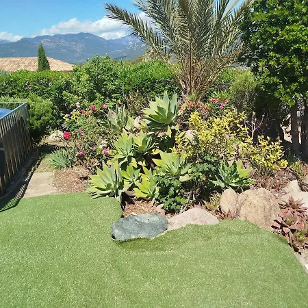 ヴィラ Les Palmiers Pool View Of Bavella