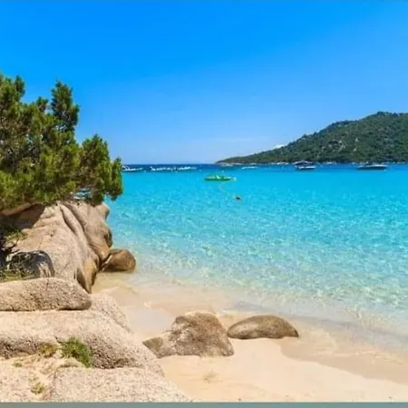 Les Palmiers Pool View Of Bavella ヴィラ *