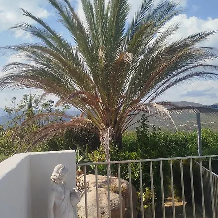 Les Palmiers Pool View Of Bavella *