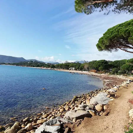 ヴィラ Les Palmiers Pool View Of Bavella