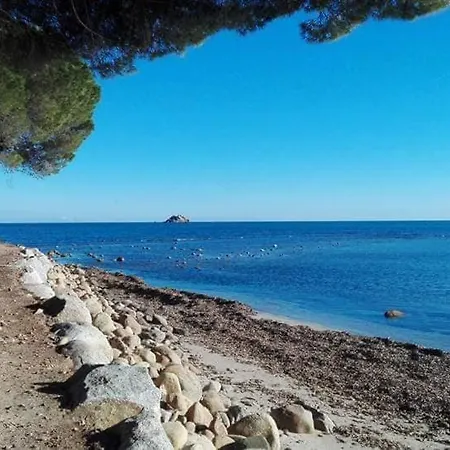 ヴィラ Les Palmiers Pool View Of Bavella *