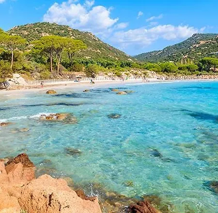 Les Palmiers Pool View Of Bavella *