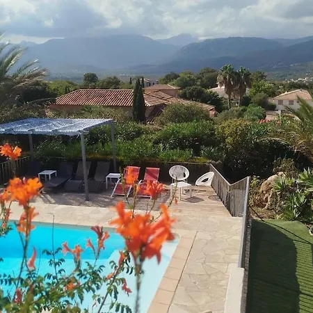 Les Palmiers Pool View Of Bavella *