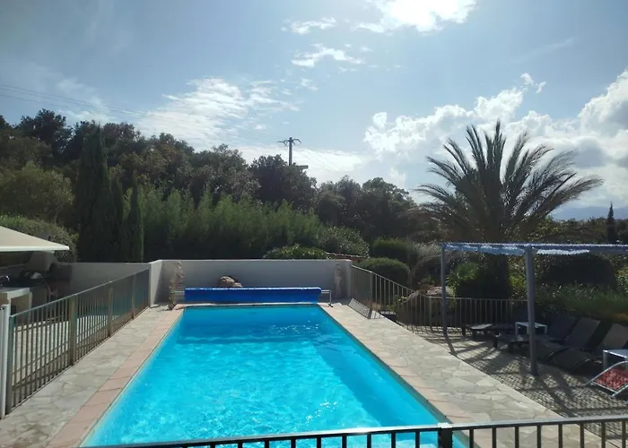 Les Palmiers Pool View Of Bavella *