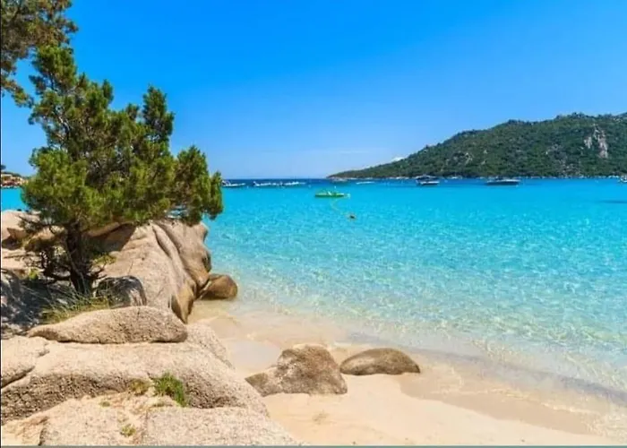 Les Palmiers Pool View Of Bavella Villa *
