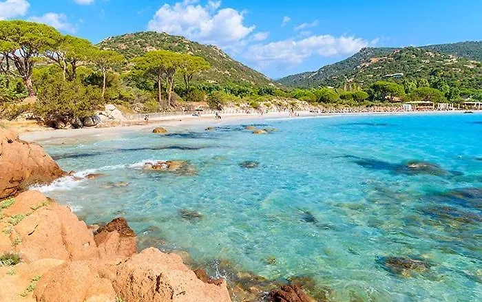 Les Palmiers Pool View Of Bavella *