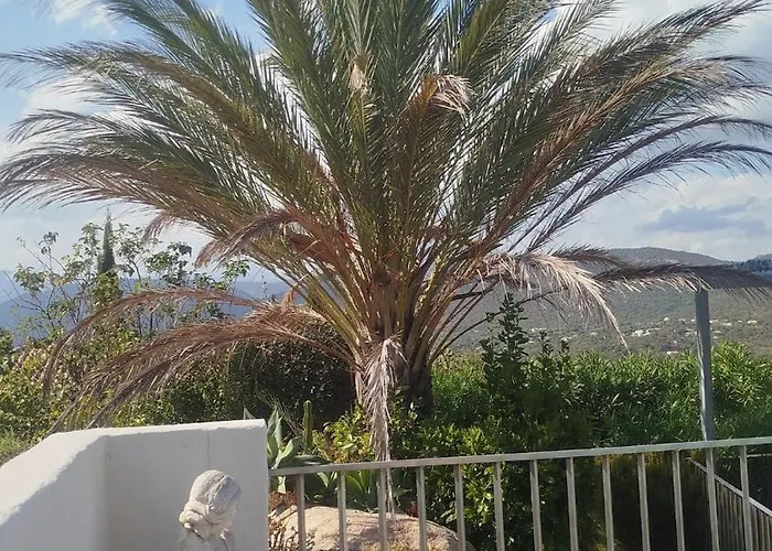 Les Palmiers Pool View Of Bavella *