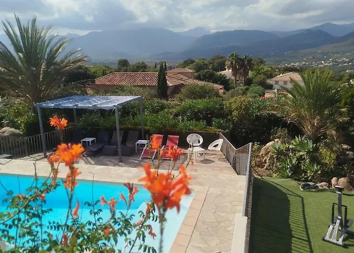 Les Palmiers Pool View Of Bavella *