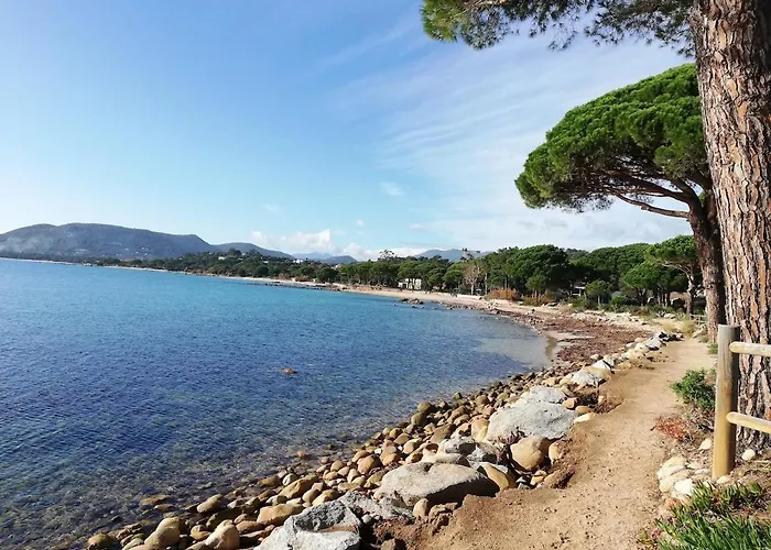 Villa Les Palmiers Pool View Of Bavella
