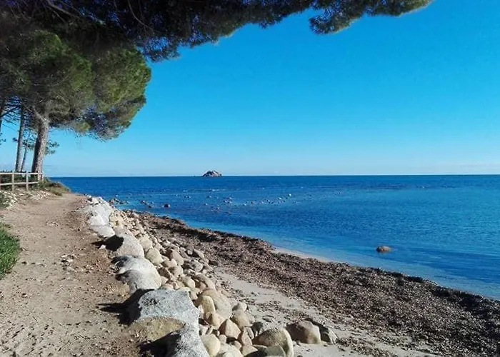 Villa Les Palmiers Pool View Of Bavella *